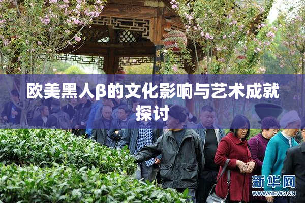 欧美黑人β的文化影响与艺术成就探讨