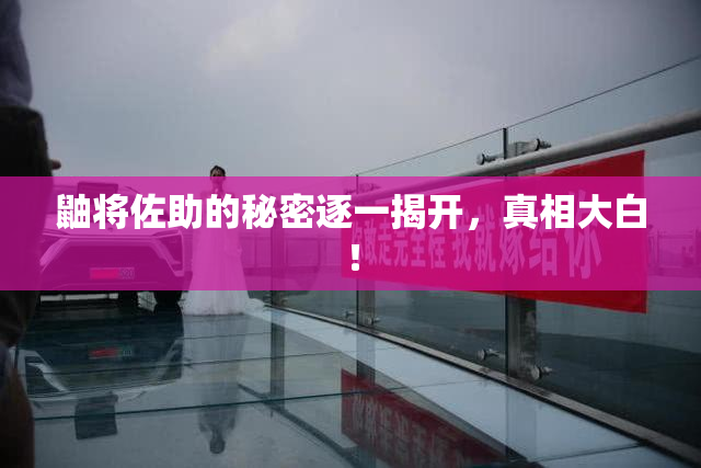 鼬将佐助的秘密逐一揭开，真相大白！