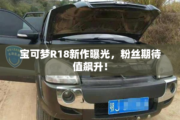 宝可梦R18新作曝光，粉丝期待值飙升！