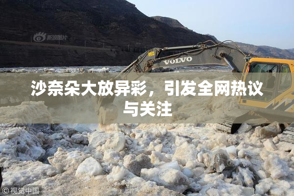 沙奈朵大放异彩，引发全网热议与关注
