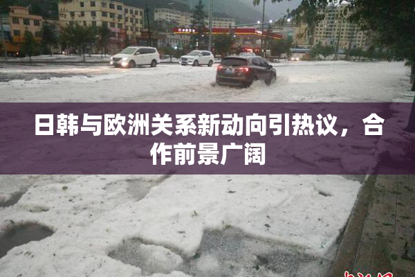 日韩与欧洲关系新动向引热议，合作前景广阔