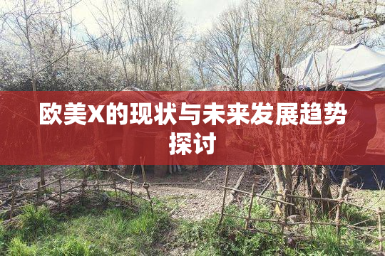 欧美X的现状与未来发展趋势探讨
