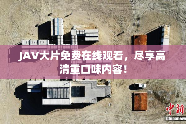 JAV大片免费在线观看，尽享高清重口味内容！