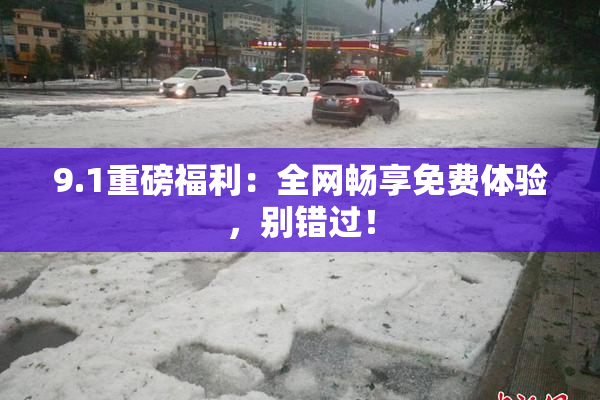 9.1重磅福利：全网畅享免费体验，别错过！