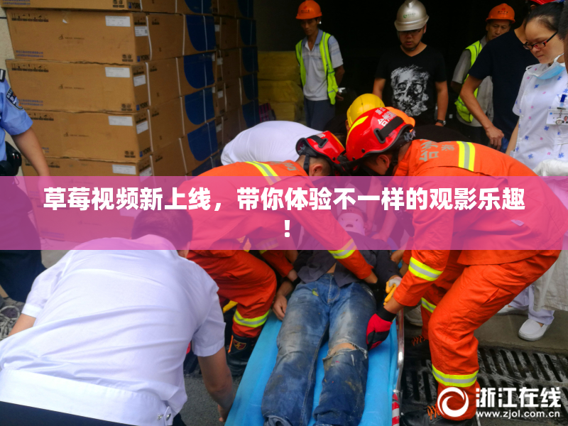 草莓视频新上线，带你体验不一样的观影乐趣！