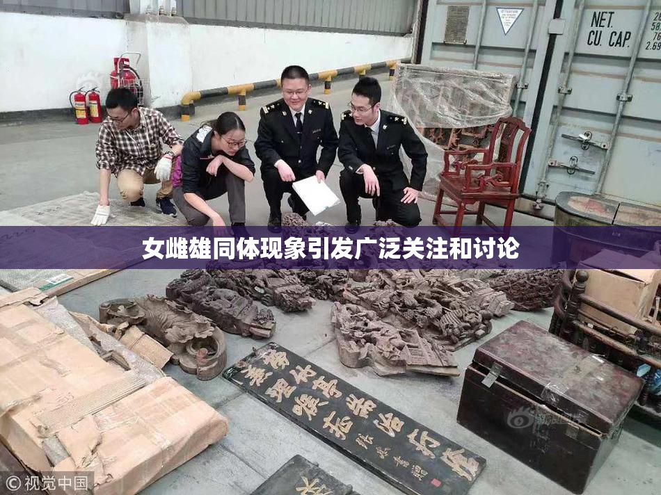 女雌雄同体现象引发广泛关注和讨论