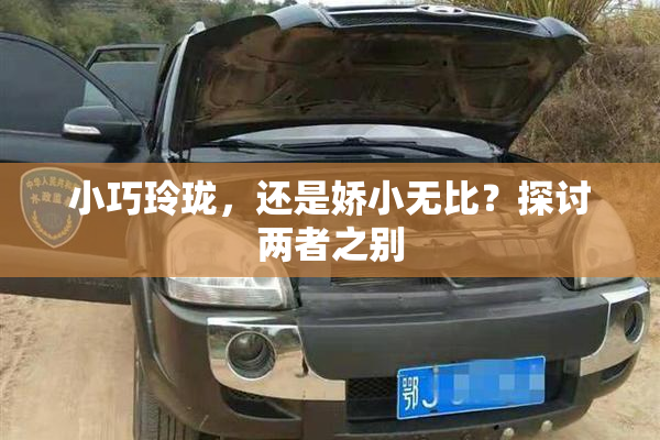 小巧玲珑，还是娇小无比？探讨两者之别