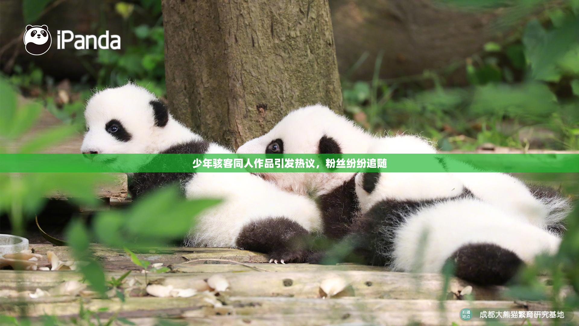 少年骇客同人作品引发热议，粉丝纷纷追随
