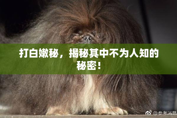 打白嫩秘，揭秘其中不为人知的秘密！