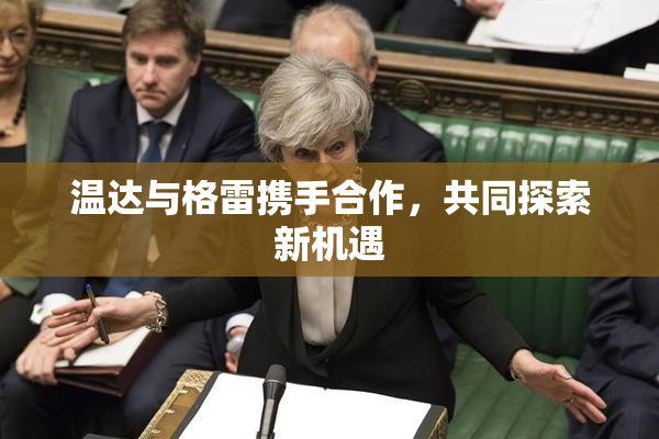 温达与格雷携手合作，共同探索新机遇