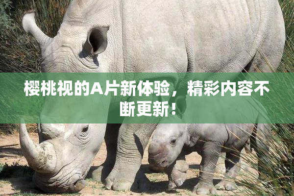 樱桃视的A片新体验，精彩内容不断更新！