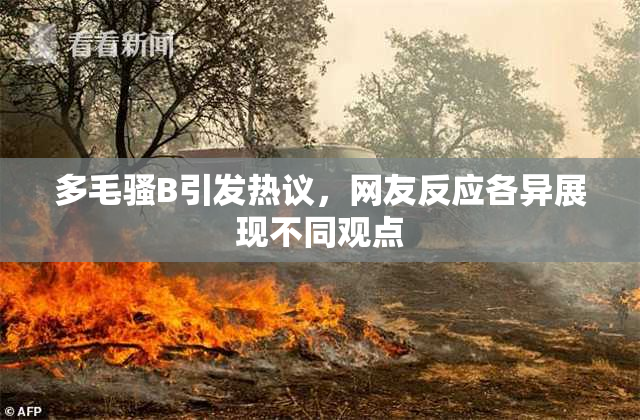多毛骚B引发热议，网友反应各异展现不同观点