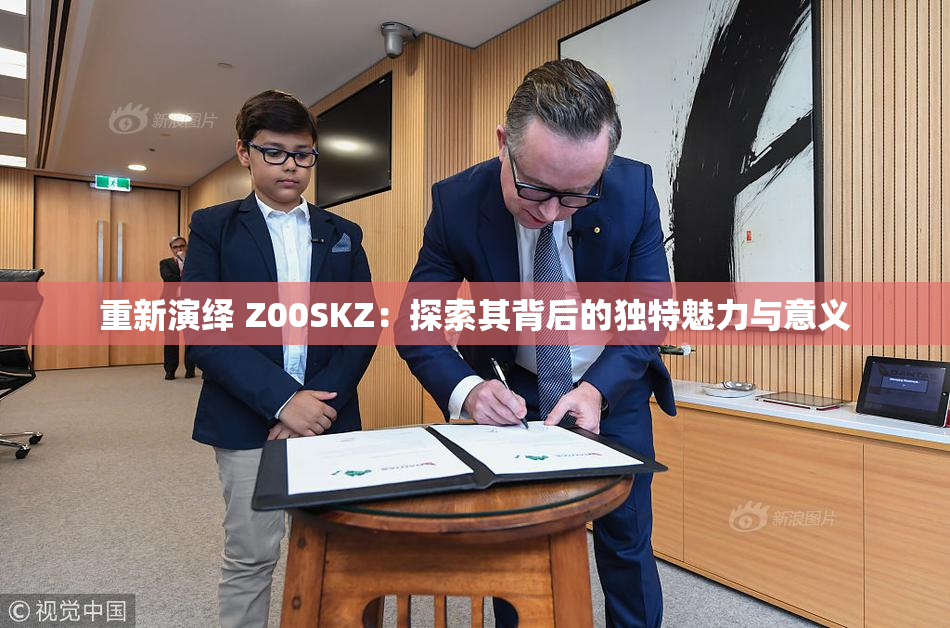 重新演绎 Z00SKZ：探索其背后的独特魅力与意义