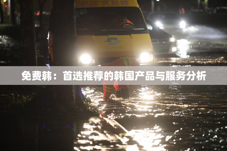 免费韩：首选推荐的韩国产品与服务分析