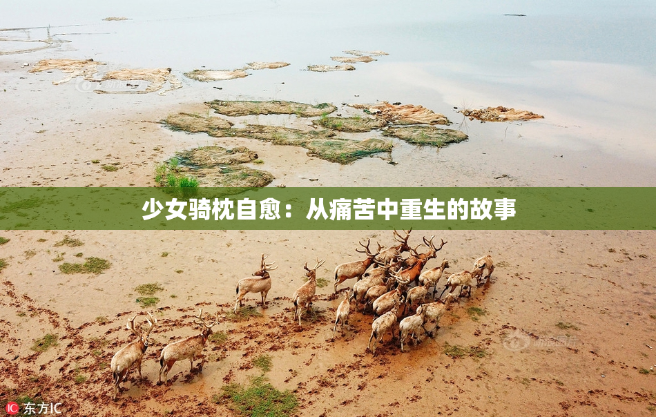少女骑枕自愈：从痛苦中重生的故事