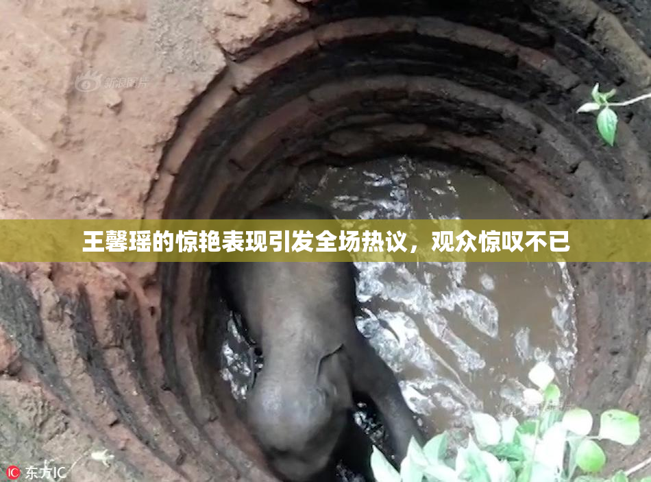王馨瑶的惊艳表现引发全场热议，观众惊叹不已
