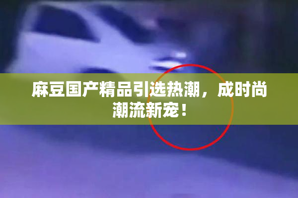 麻豆国产精品引选热潮，成时尚潮流新宠！
