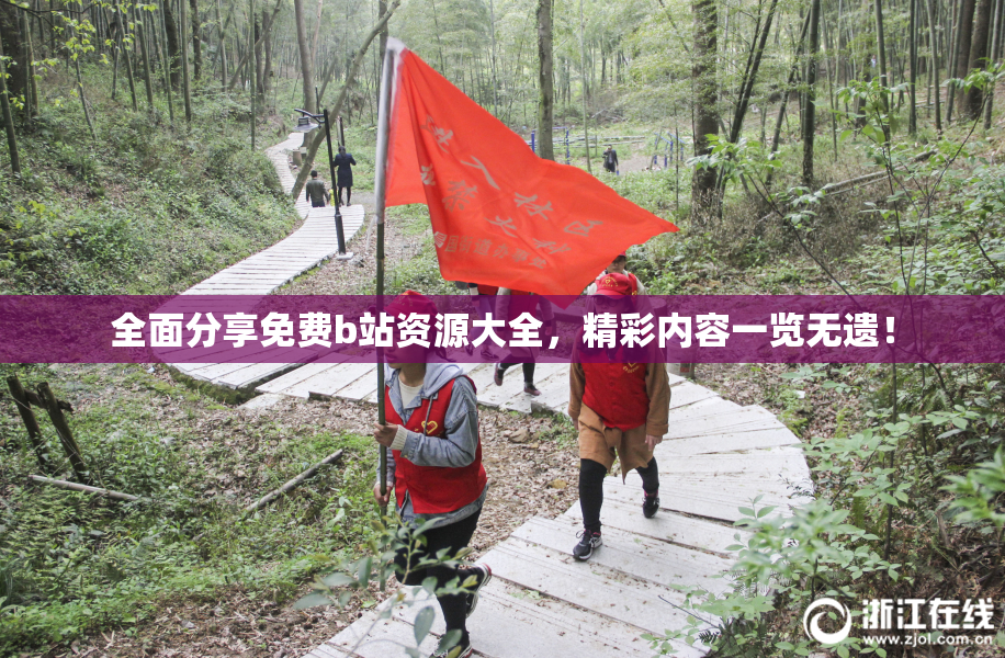 全面分享免费b站资源大全，精彩内容一览无遗！