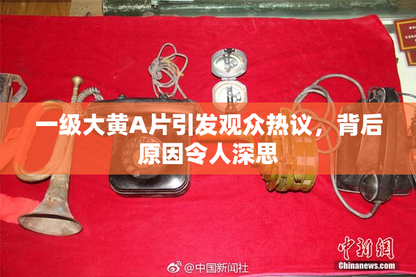 一级大黄A片引发观众热议，背后原因令人深思