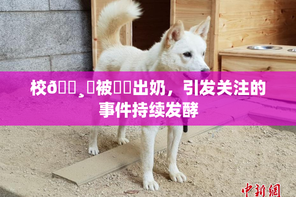 校🌸‌被❌‌出奶，引发关注的事件持续发酵