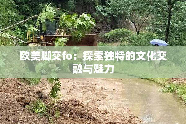 欧美脚交fo：探索独特的文化交融与魅力