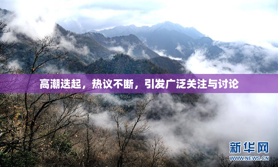 高潮迭起，热议不断，引发广泛关注与讨论