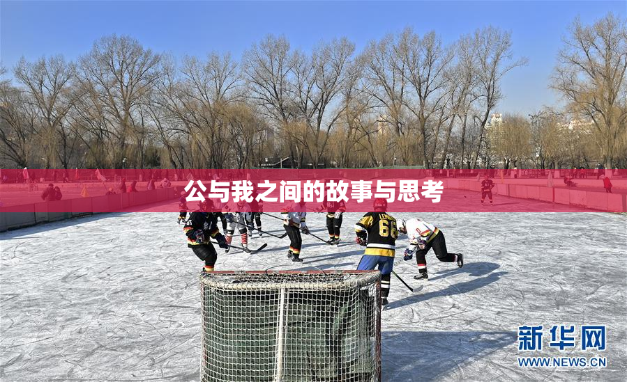 公与我之间的故事与思考