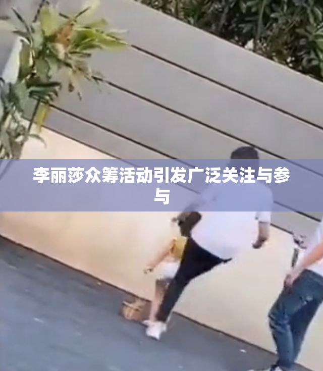李丽莎众筹活动引发广泛关注与参与