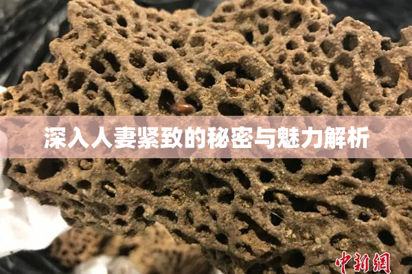 深入人妻紧致的秘密与魅力解析