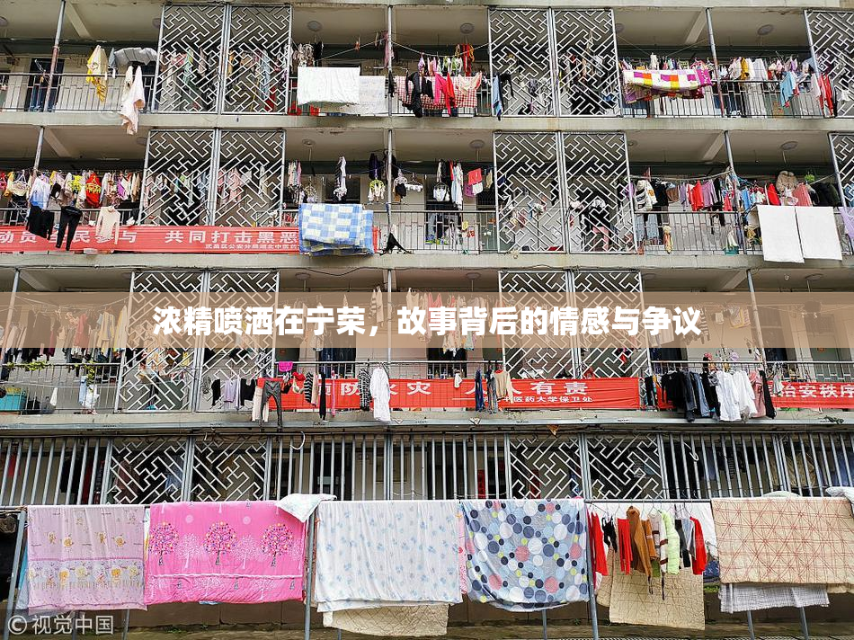 浓精喷洒在宁荣，故事背后的情感与争议