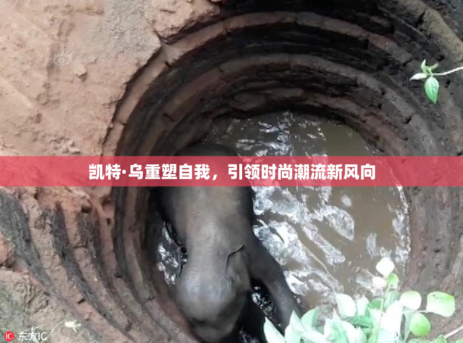 凯特·乌重塑自我，引领时尚潮流新风向