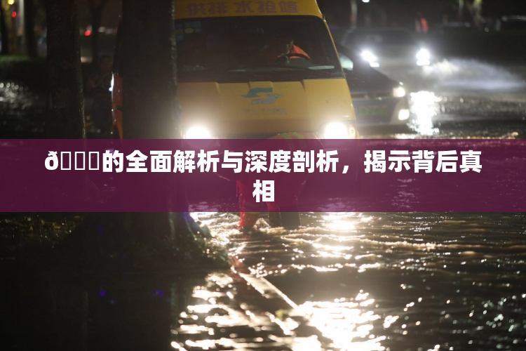 🈚的全面解析与深度剖析，揭示背后真相