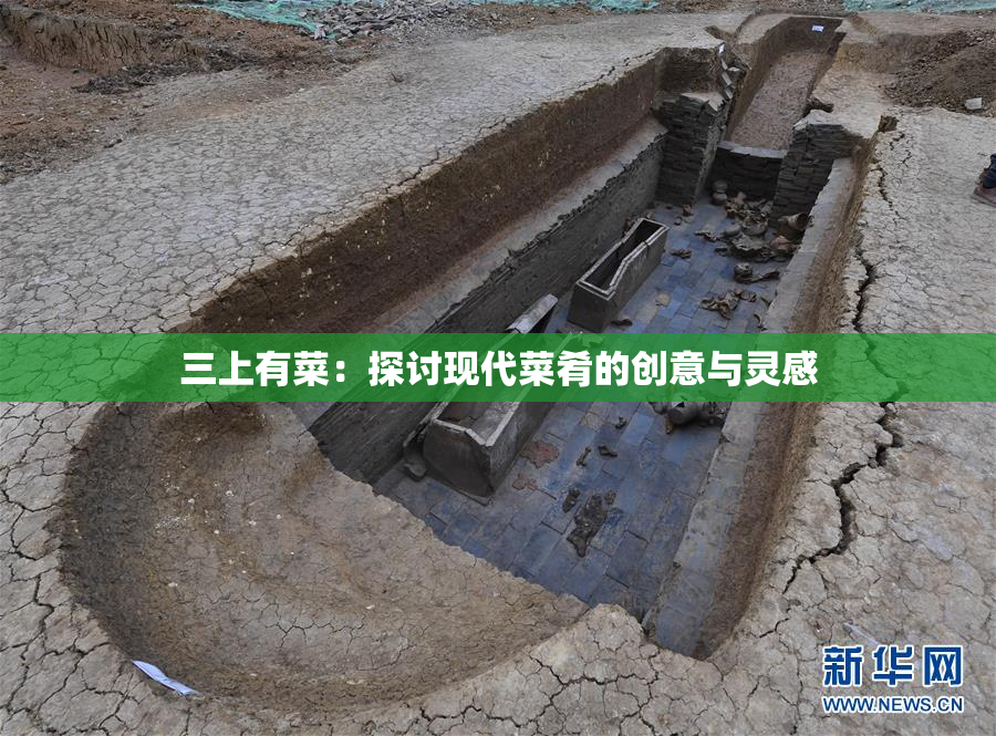 三上有菜：探讨现代菜肴的创意与灵感