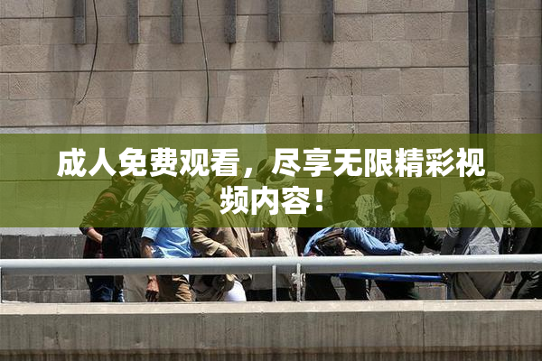 成人免费观看，尽享无限精彩视频内容！