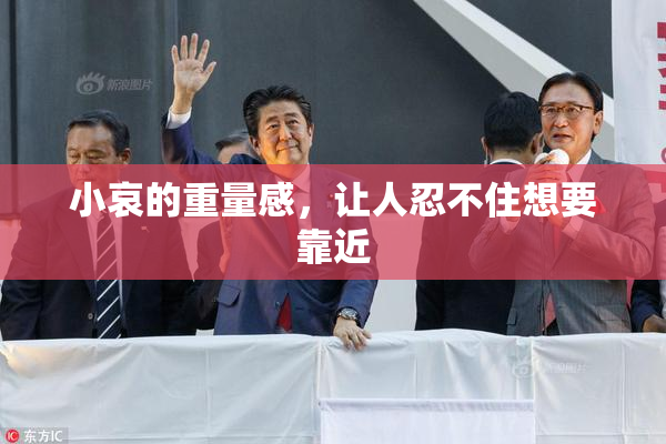 小哀的重量感，让人忍不住想要靠近