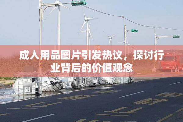 成人用品图片引发热议，探讨行业背后的价值观念