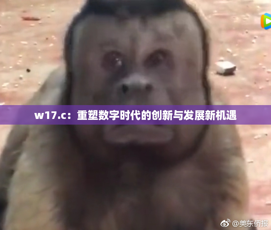 w17.c：重塑数字时代的创新与发展新机遇