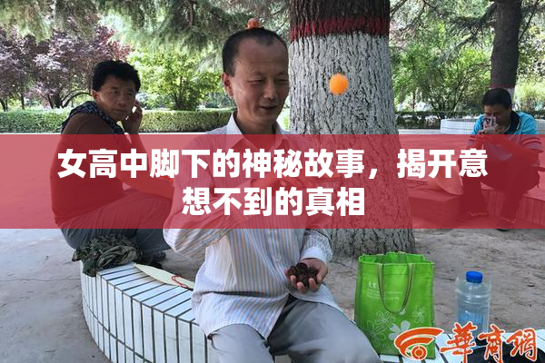 女高中脚下的神秘故事，揭开意想不到的真相