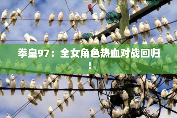 拳皇97：全女角色热血对战回归！