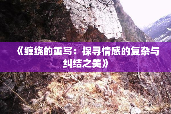 《缠绕的重写：探寻情感的复杂与纠结之美》