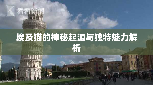 埃及猫的神秘起源与独特魅力解析