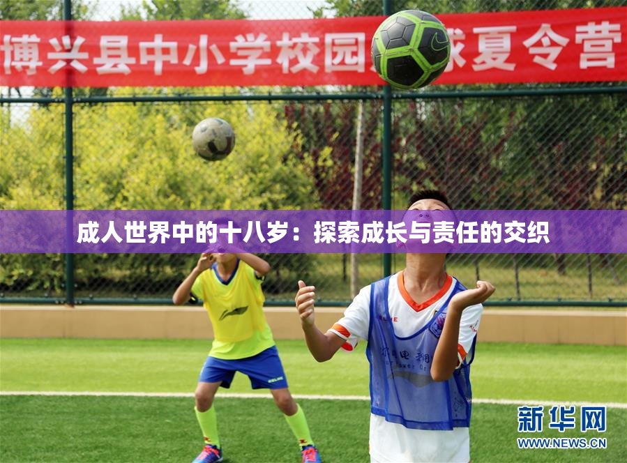 成人世界中的十八岁：探索成长与责任的交织