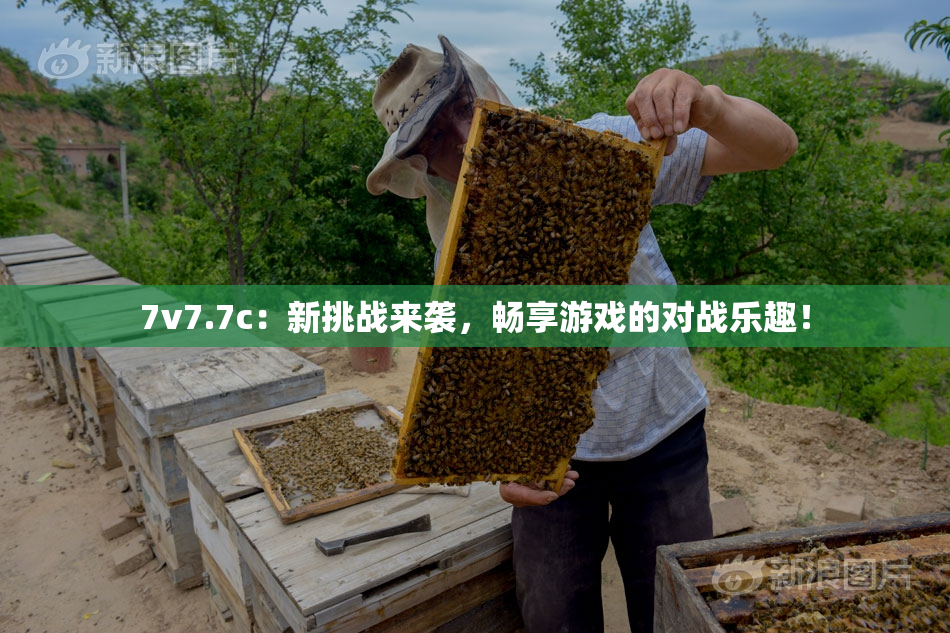7v7.7c：新挑战来袭，畅享游戏的对战乐趣！