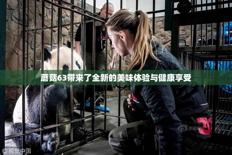 蘑菇63带来了全新的美味体验与健康享受