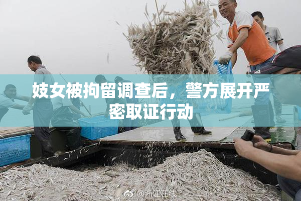 妓女被拘留调查后，警方展开严密取证行动