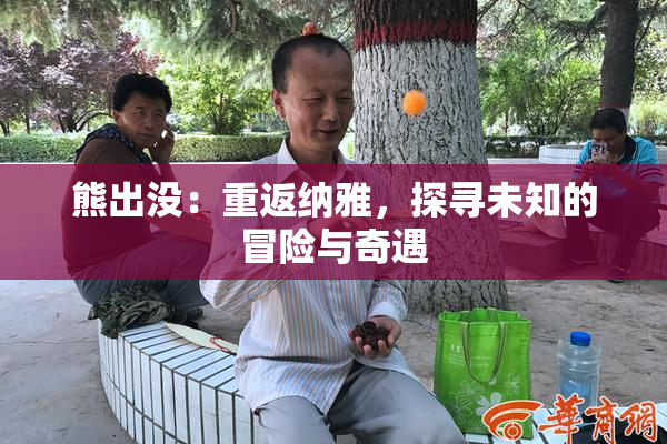 熊出没：重返纳雅，探寻未知的冒险与奇遇