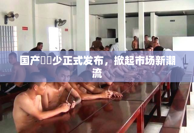 国产❌‌少正式发布，掀起市场新潮流