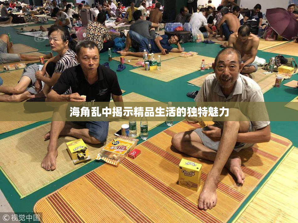 海角乱中揭示精品生活的独特魅力