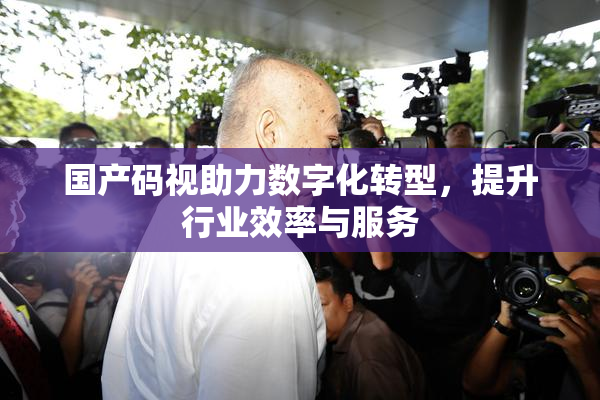 国产码视助力数字化转型，提升行业效率与服务