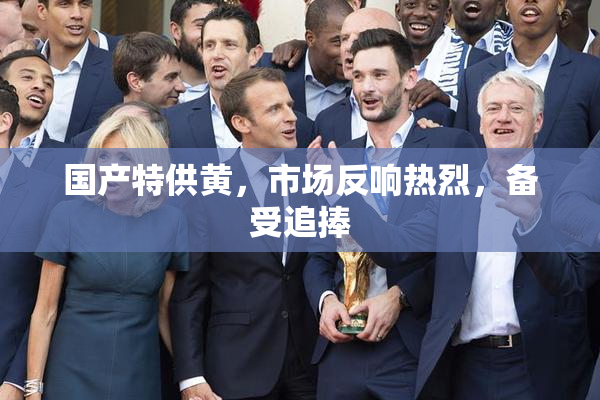 国产特供黄，市场反响热烈，备受追捧